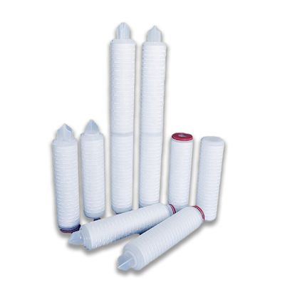 10인치 0.1마이크론 PTFE 플레이트 매브란 물 필터 카트리지는 생물학적 치료용