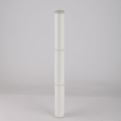 0.22 0.45 미크론 PES PTFE 물 처리 10 인치 PP 플레이트 필터 카트리지 교체