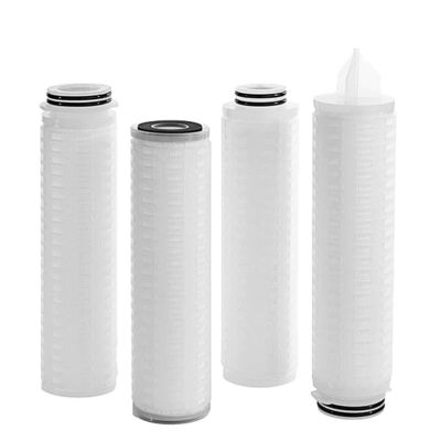 20 인치 다른 물 필터에 맞춤형 수소성 PTFE 막 필터 카트리지는